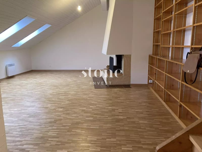 Magnifique DUPLEX au 3éme étage à Carouge (3)