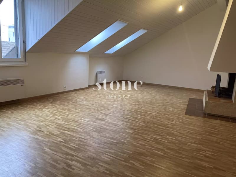 Magnifique DUPLEX au 3éme étage à Carouge (1)