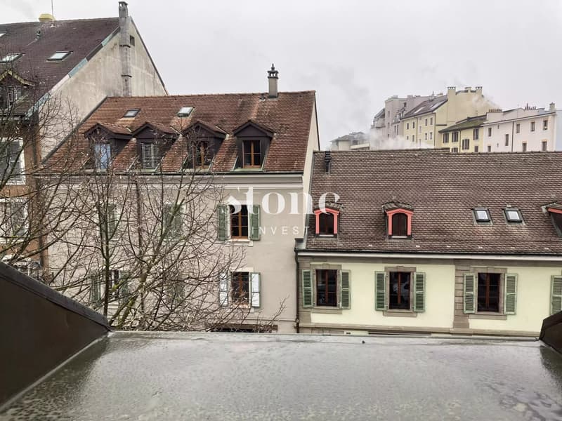 Magnifique DUPLEX au 3éme étage à Carouge (2)