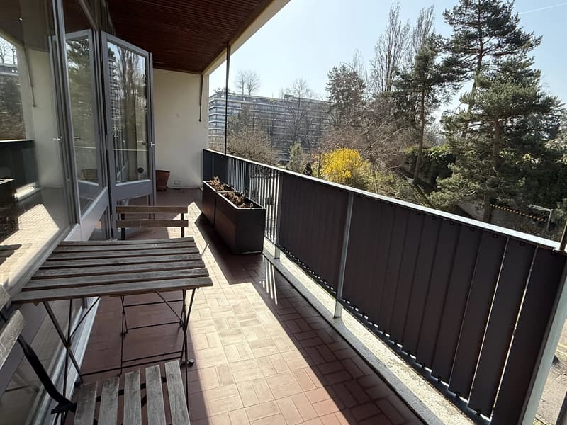 Magnifique appartement lumineux meublé récemment rénové de 58 m2 et 24 m2 de terrasse avec vue dégagée sur le parc (8)