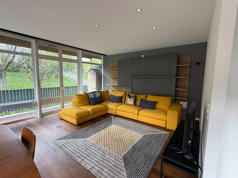 Magnifique appartement lumineux meublé récemment rénové de 58 m2 et 24 m2 de terrasse avec vue dégagée sur le parc (2)