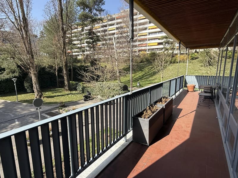 Magnifique appartement lumineux meublé récemment rénové de 58 m2 et 24 m2 de terrasse avec vue dégagée sur le parc (1)