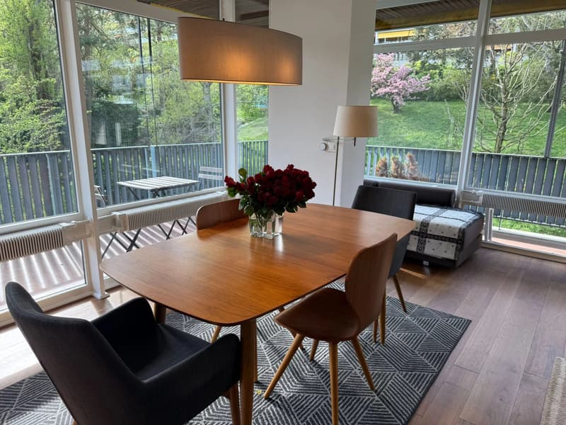 Magnifique appartement lumineux meublé récemment rénové de 58 m2 et 24 m2 de terrasse avec vue dégagée sur le parc (3)