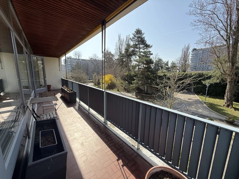 Magnifique appartement lumineux meublé récemment rénové de 58 m2 et 24 m2 de terrasse avec vue dégagée sur le parc (7)