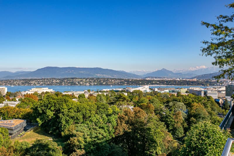Magnifique appartement lumineux meublé récemment rénové de 58 m2 et 24 m2 de terrasse avec vue dégagée sur le parc (13)