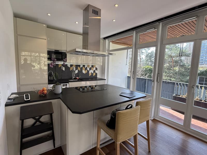 Magnifique appartement lumineux meublé récemment rénové de 58 m2 et 24 m2 de terrasse avec vue dégagée sur le parc (5)