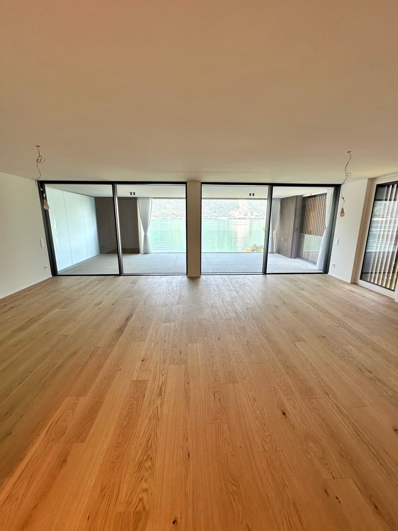 large open space, wooden floor, glass sliding doors, balcony, lake view