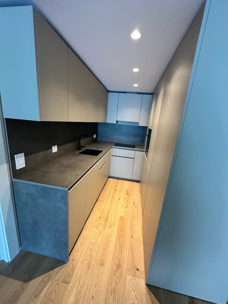 modern kitchen with wooden floor, gray cabinets, concrete countertop, black sink, and built-in appliances