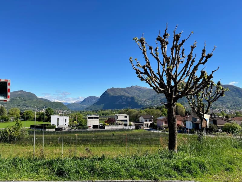 NOVAZZANO - TERRENO R2 CON PROGETTO APPROVATO PER 4 ABITAZIONI (4)