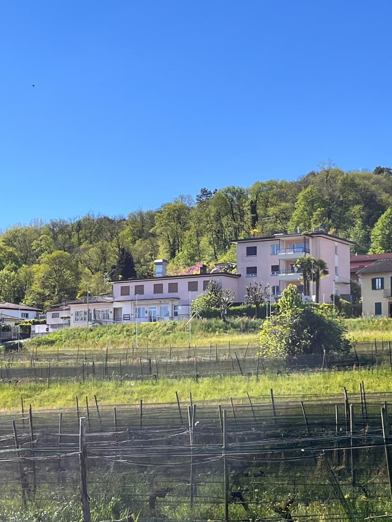 NOVAZZANO - TERRENO R2 CON PROGETTO APPROVATO PER 4 ABITAZIONI (1)