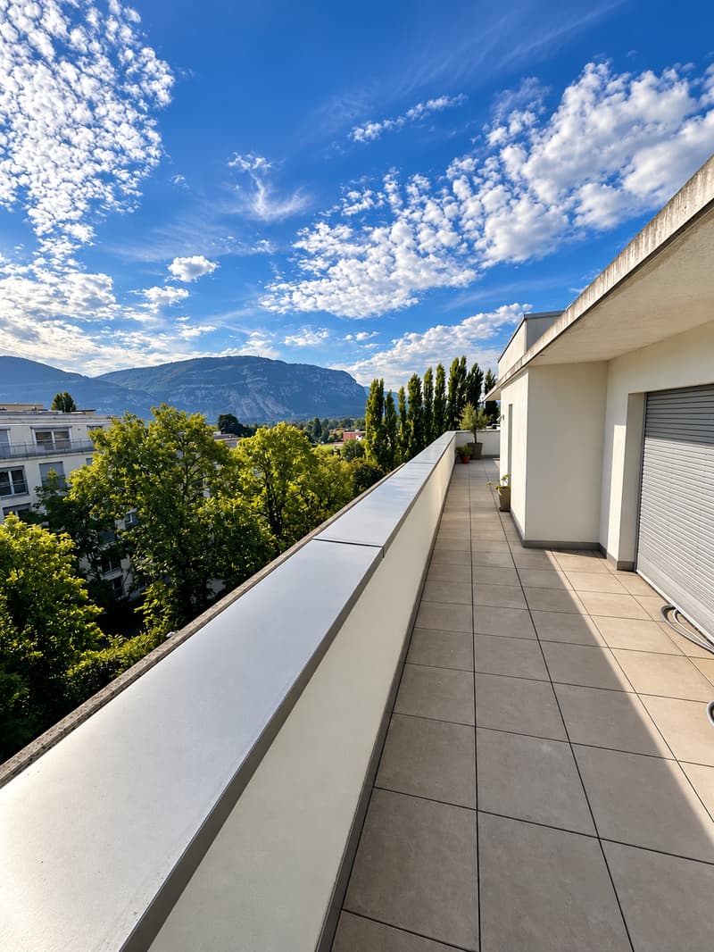 En exclusivité! MAGNIFIQUE ATTIQUE DE 7 PIECES AVEC DEUX VASTES TERRASSES (6)
