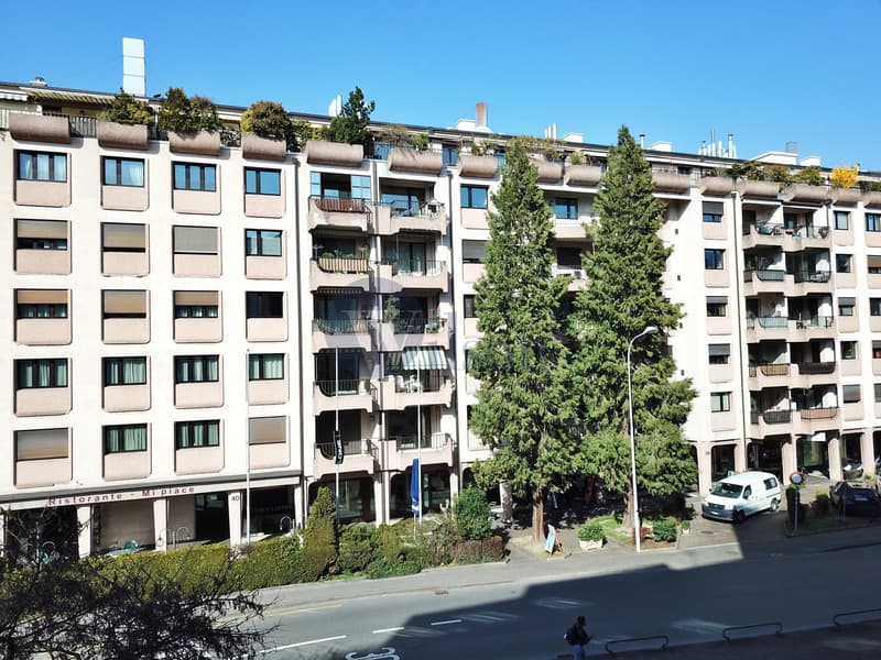 Carouge - Superb contemporary apartment for sale (12)
