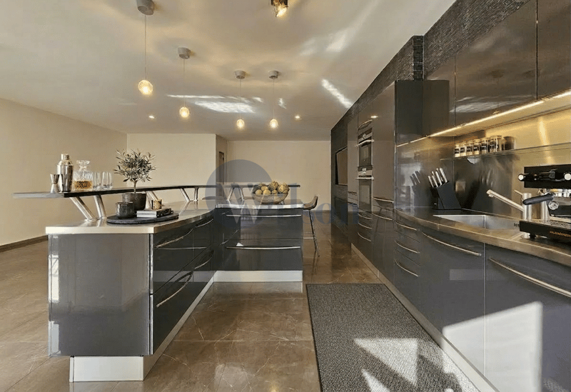 Carouge - Superb contemporary apartment for sale (2)
