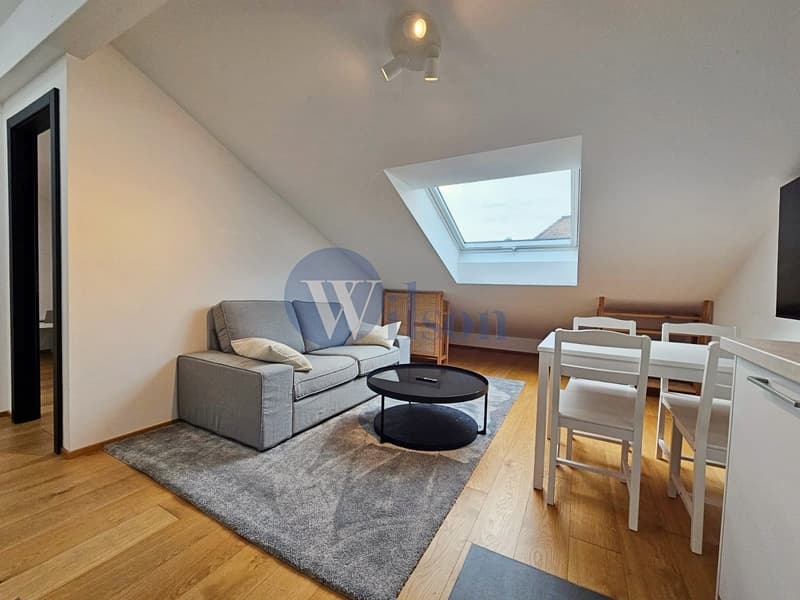 Zweizimmerwohnung unter dem Dach möbliert (4)
