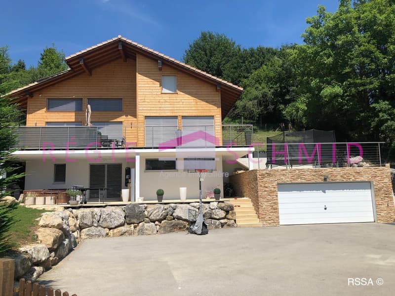 Individual villa (1)