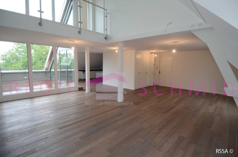 Duplex apartment with 6 rooms in Eysins (1)