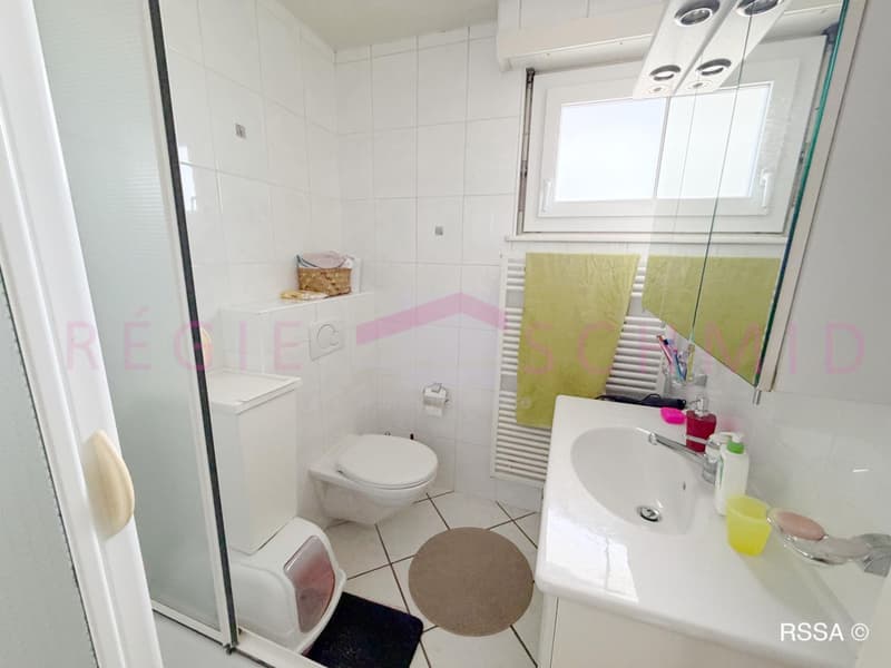 Individual villa with 7 rooms in Prangins (11)