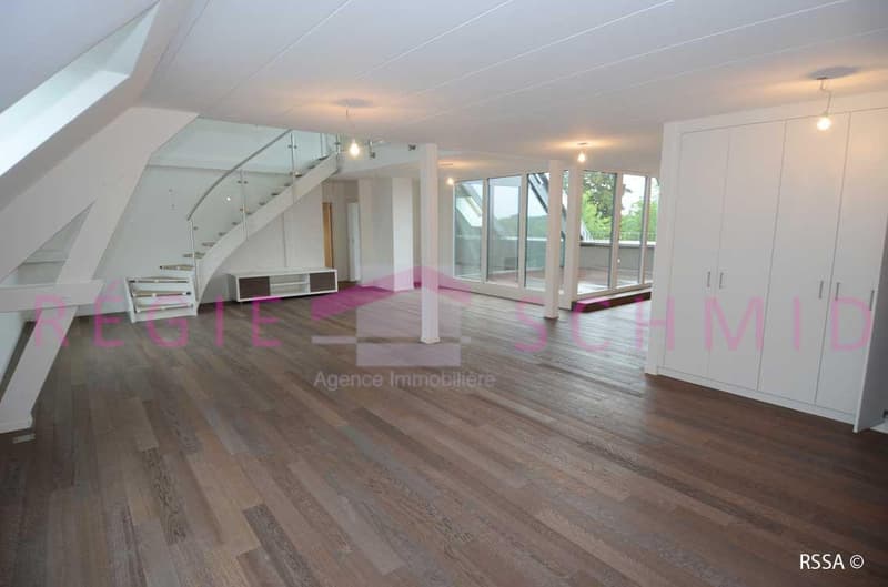 Duplex-Wohnung mit 6 Zimmern in Eysins (2)