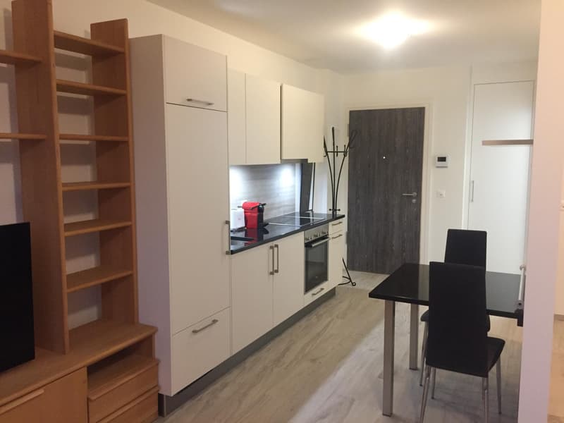 Studio meublé de standing au coeur de Nyon, au calme et a deux pas de la gare. (3)