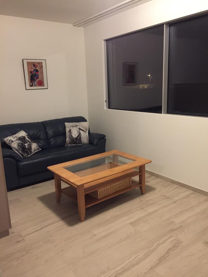 Studio meublé de standing au coeur de Nyon, au calme et a deux pas de la gare. (5)