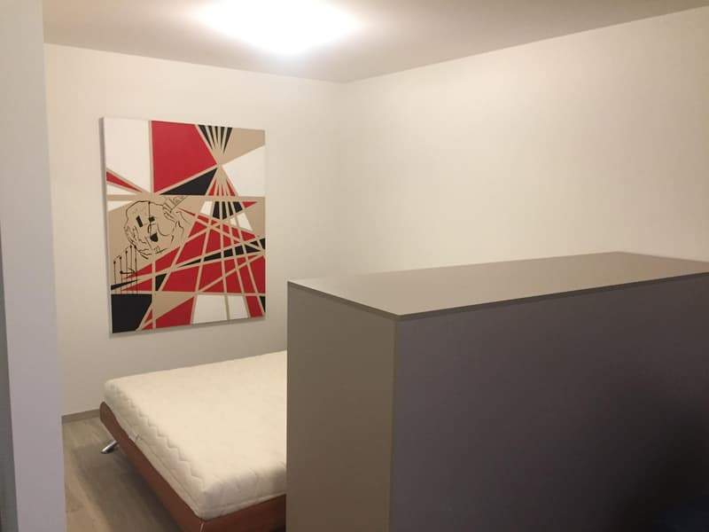 Studio meublé de standing au coeur de Nyon, au calme et a deux pas de la gare. (2)