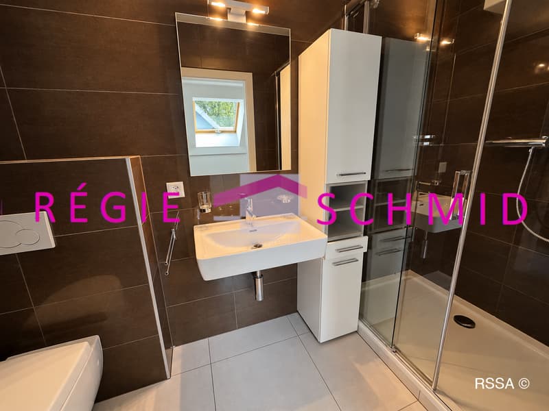 Appartement duplex en attique de 7,5 pièces à Eysins (12)