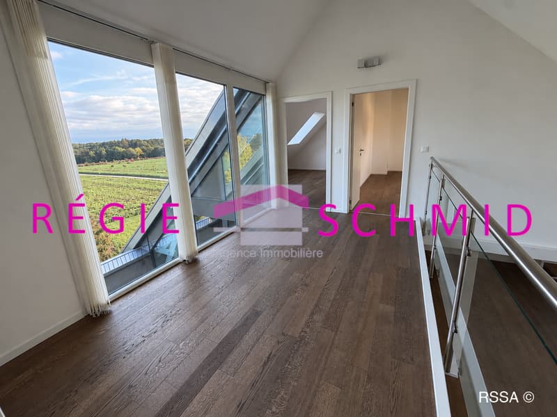 Appartement duplex en attique de 7,5 pièces à Eysins (13)