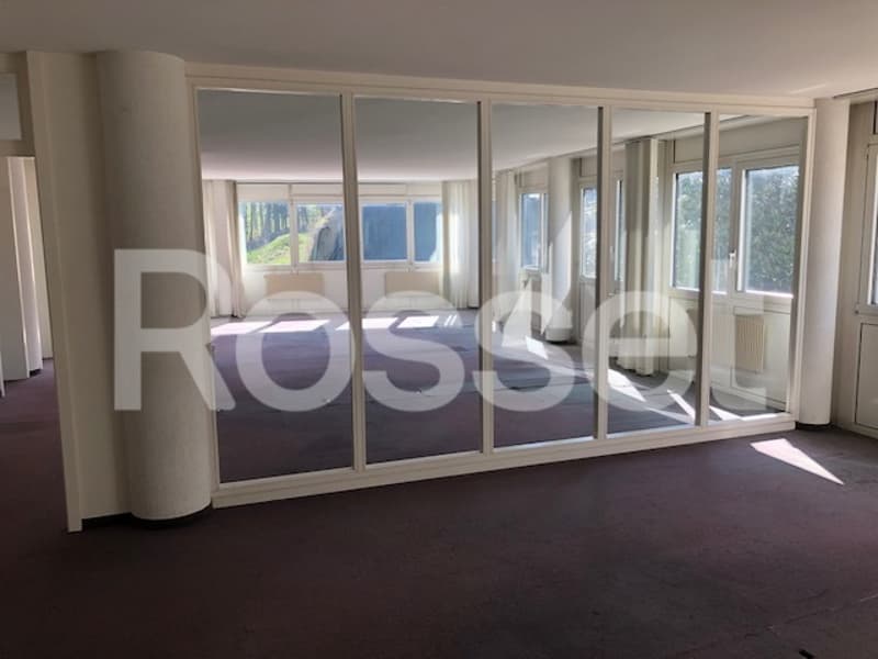 Mont-sur-Lausanne - Administrative and/or commercial spaces (4)