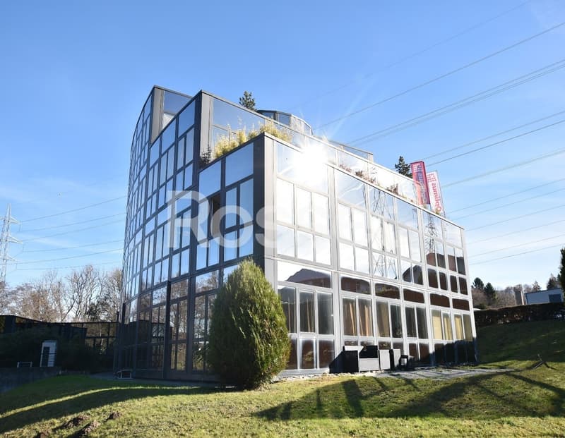 Mont-sur-Lausanne - Administrative and/or commercial spaces (2)