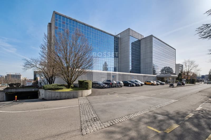 Bureaux d'env 600 m2 au 1er étage - à proximité de Genève aéroport (1)