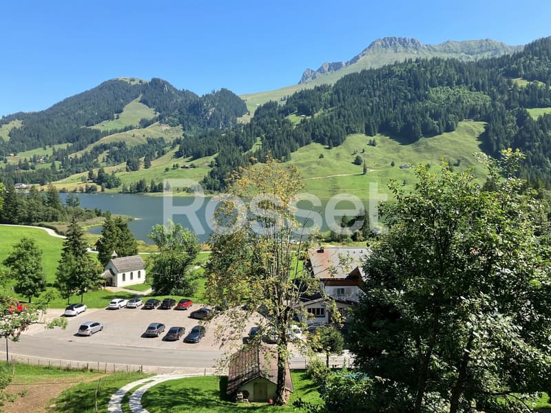 Spacieux chalet de 250m2 à vendre au Lac Noir (1)