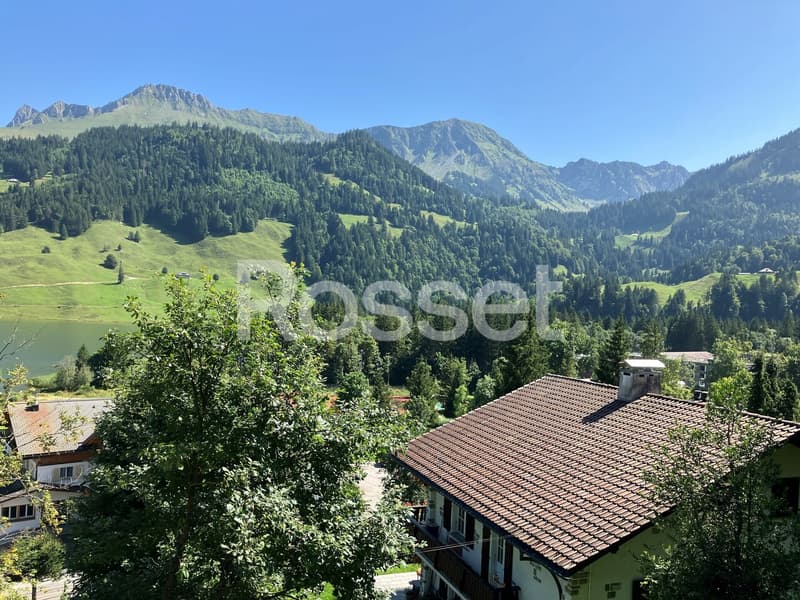 Spacieux chalet de 250m2 à vendre au Lac Noir (3)