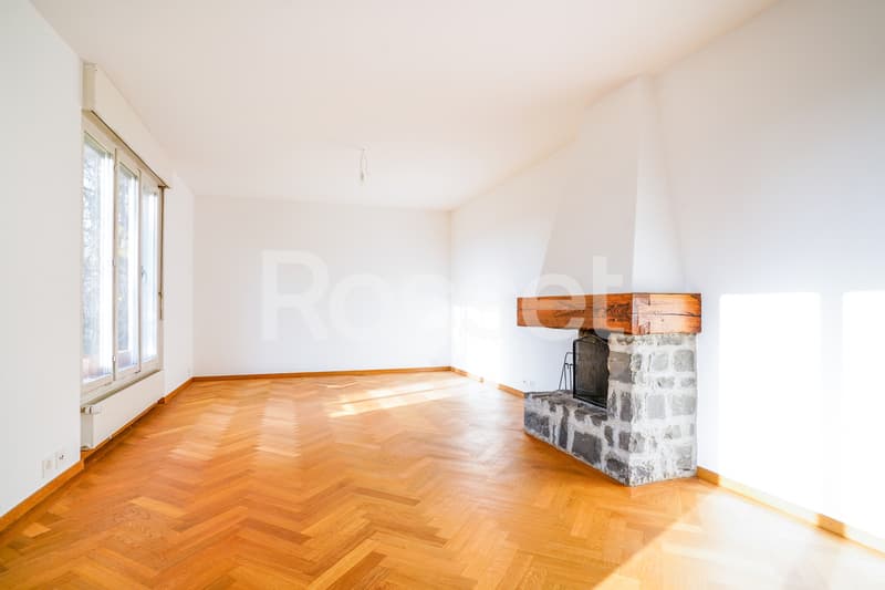 Exclusive: Individual villa with independent apartment (3)