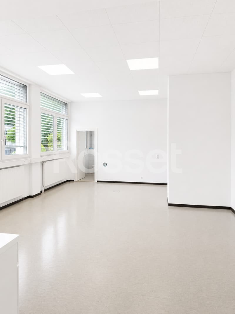 Bureaux d'env. 273 m² au rez-de-chaussée (3)