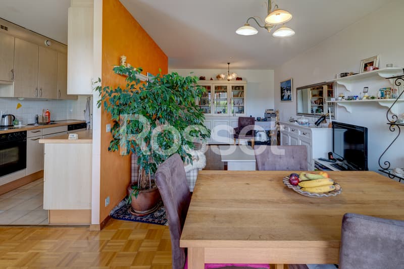 Exclusive: Charming apartment with terrace and garden in Cressy (7)