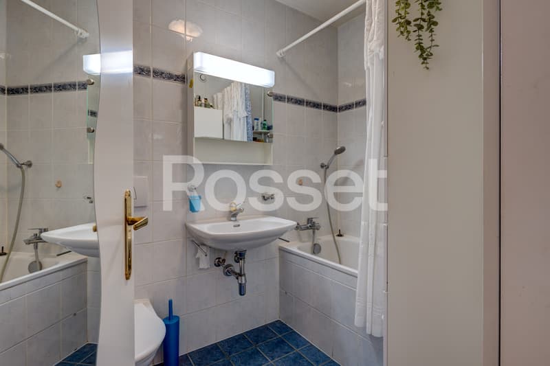 Exclusive: Charming apartment with terrace and garden in Cressy (10)