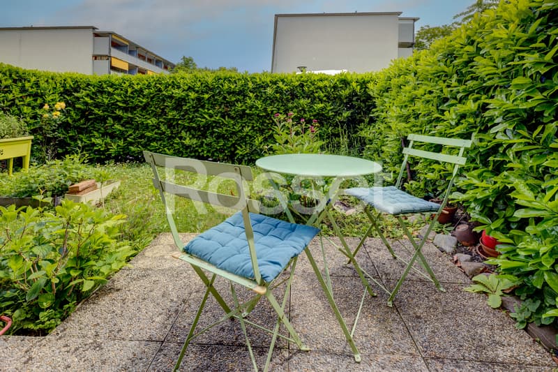Exclusive: Charming apartment with terrace and garden in Cressy (13)