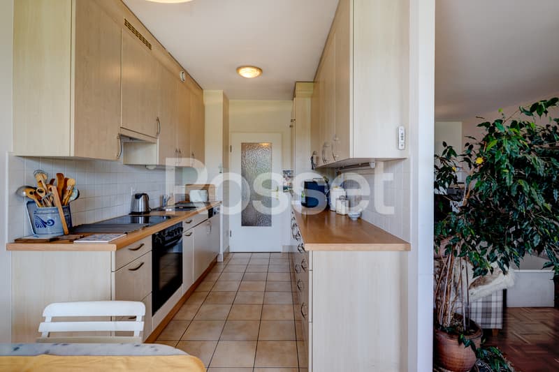 En Exclusivité : Charmant appartement avec terrasse et jardin à Cressy (5)