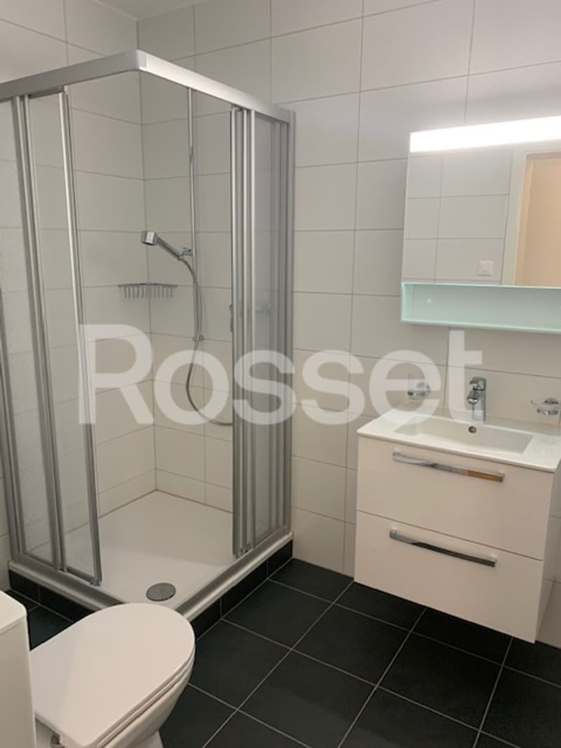 3-Zimmer-Wohnung 7. Stock (7)