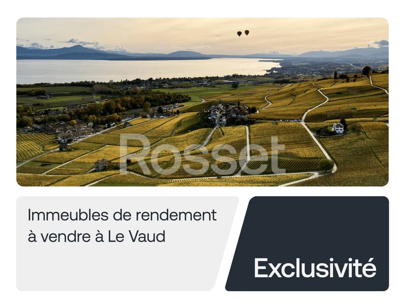 Exklusivität - 4 Wohngebäude - Rendite von 5% - Le Vaud (1)