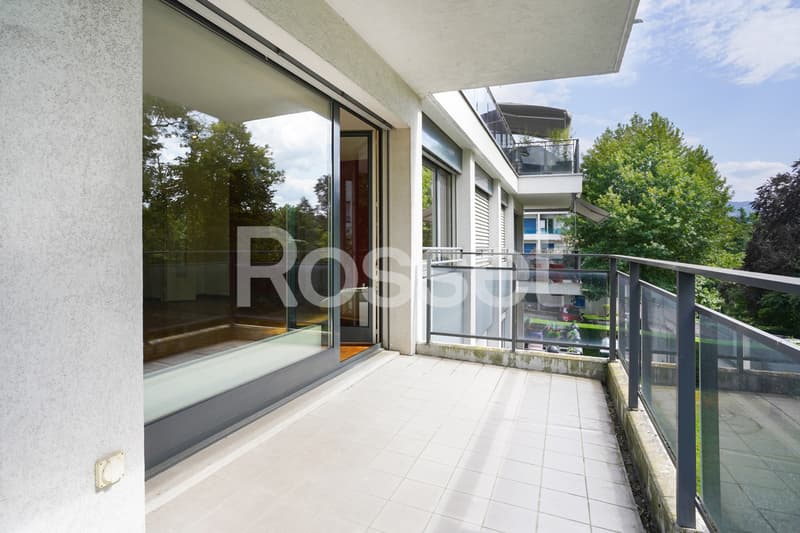 En Exclusivité : Appartement 4 pièces avec terrasse à Carouge (11)