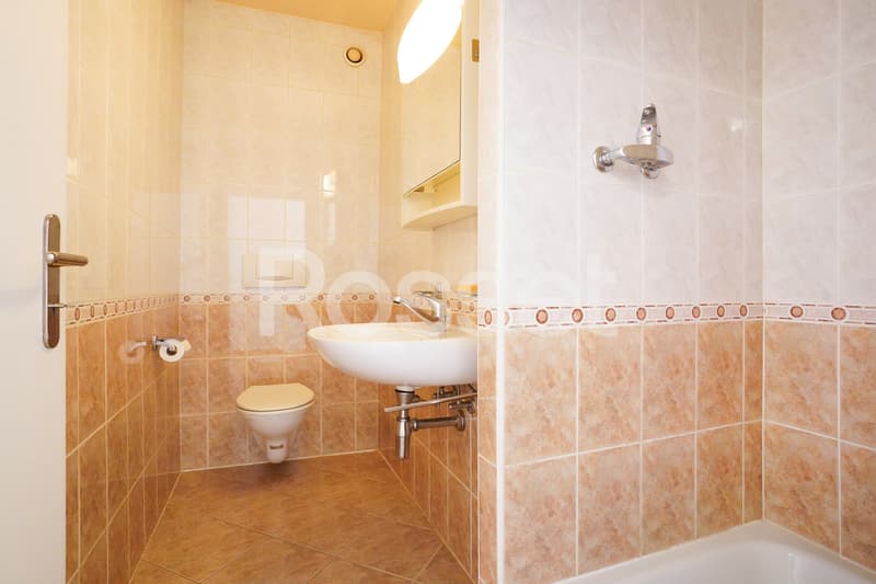 En Exclusivité : Appartement 4 pièces avec terrasse à Carouge (9)
