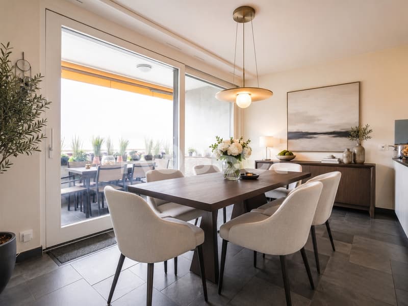 Schönes 5-Zimmer-Apartment in Chêne-Bougeries (2)