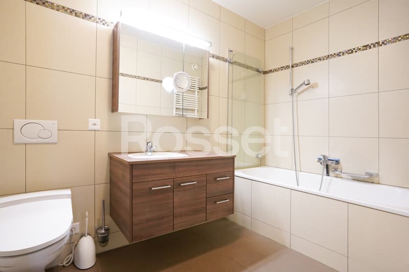 Schönes 5-Zimmer-Apartment in Chêne-Bougeries (3)