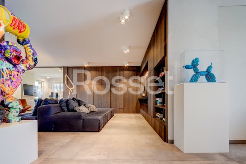 Magnifique Duplex Neuf - Haut standing (2)