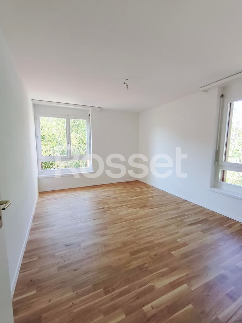 Magnifique appartement 4.5 pièces rénové au 2ème étage (5)