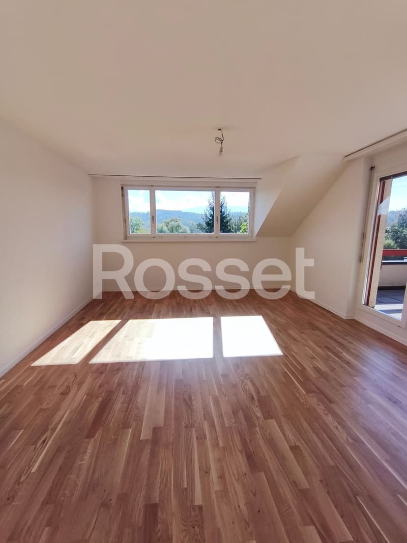 Magnifique appartement 4.5 pièces rénové au 2ème étage (2)