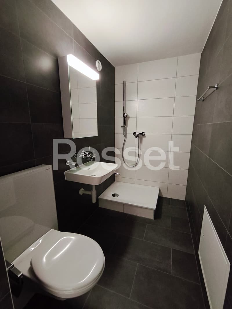 Magnifique appartement 4.5 pièces rénové au 2ème étage (9)