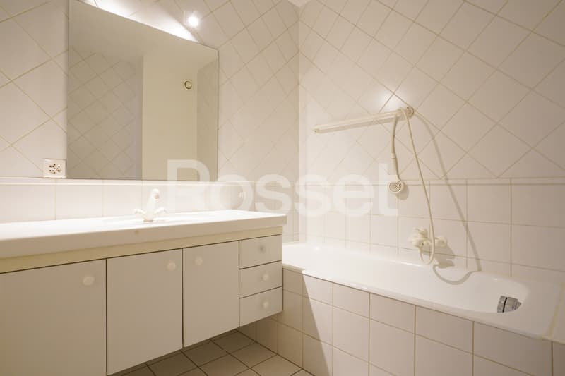 Bel appartement traversant et entièrement rénové de 4,5 pièces (11)