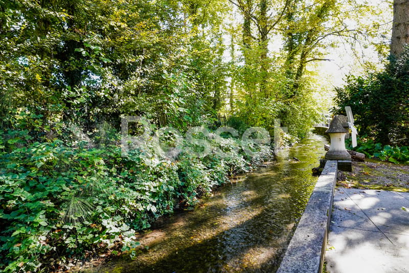 Belle bâtisse du XIXe à rénover au coeur de Céligny (4)